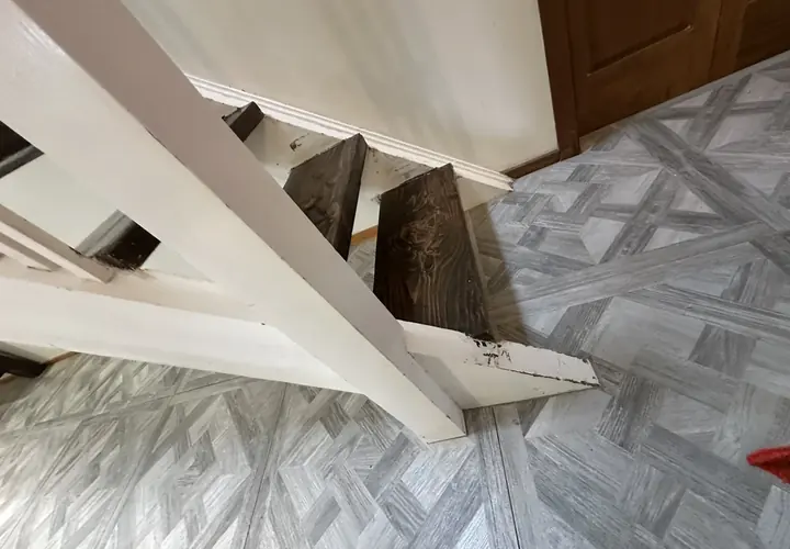 Timber Stair Restoration — Helensville completed project